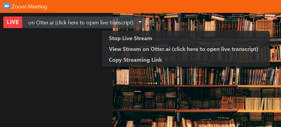 screenshot of View Stream on Otter.ai button on Zoom